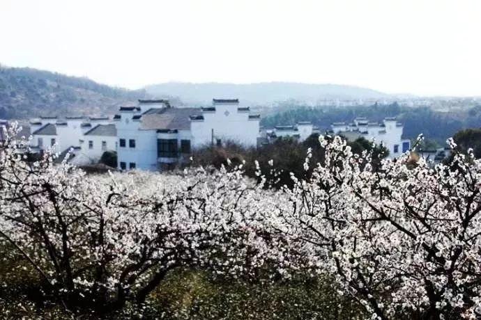 小兔子大冒险